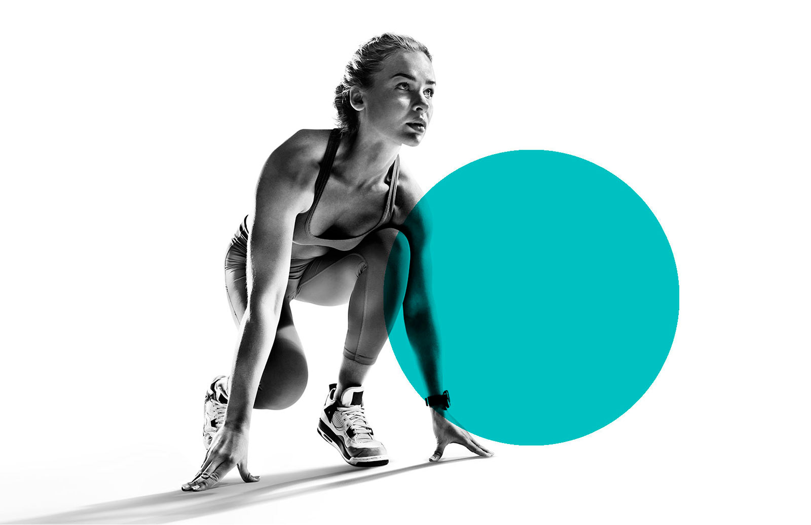 Homifit